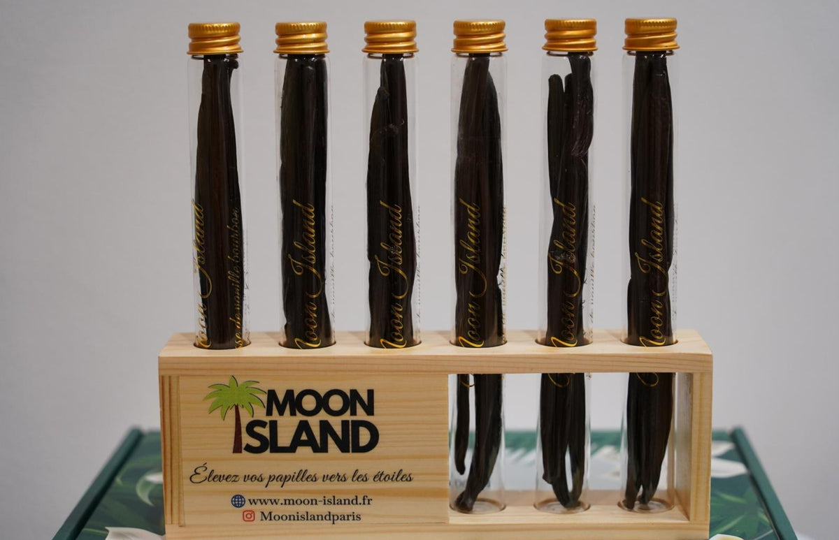 Gousses de vanille Moon Island sur support en bois