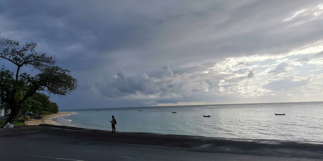 Histoire: Les épices comoriennes, un trésor de l'océan Indien