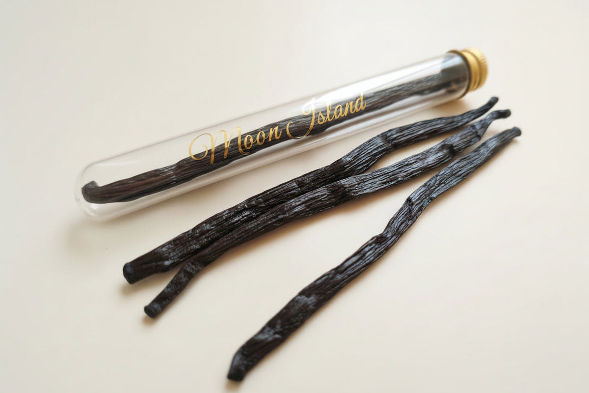 GOUSSES DE VANILLE BOURBON NOIRE TK